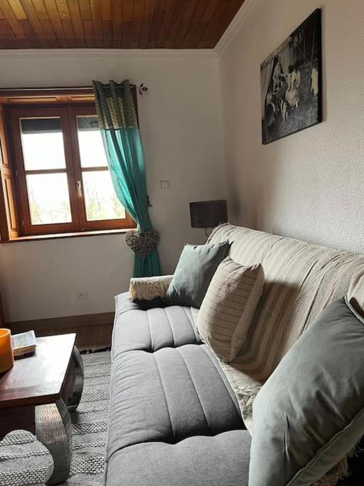 Maison Ray Sur Saone Ray-sur-Saone Dış mekan fotoğraf