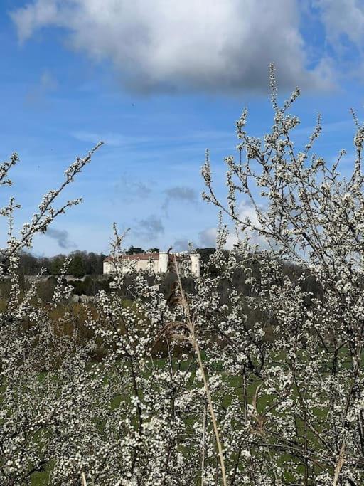 Maison Ray Sur Saone Ray-sur-Saone Dış mekan fotoğraf